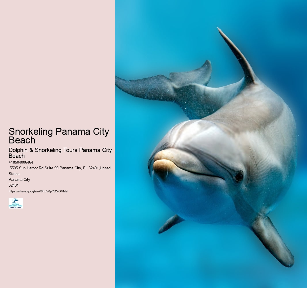 Snorkeling Panama City Beach